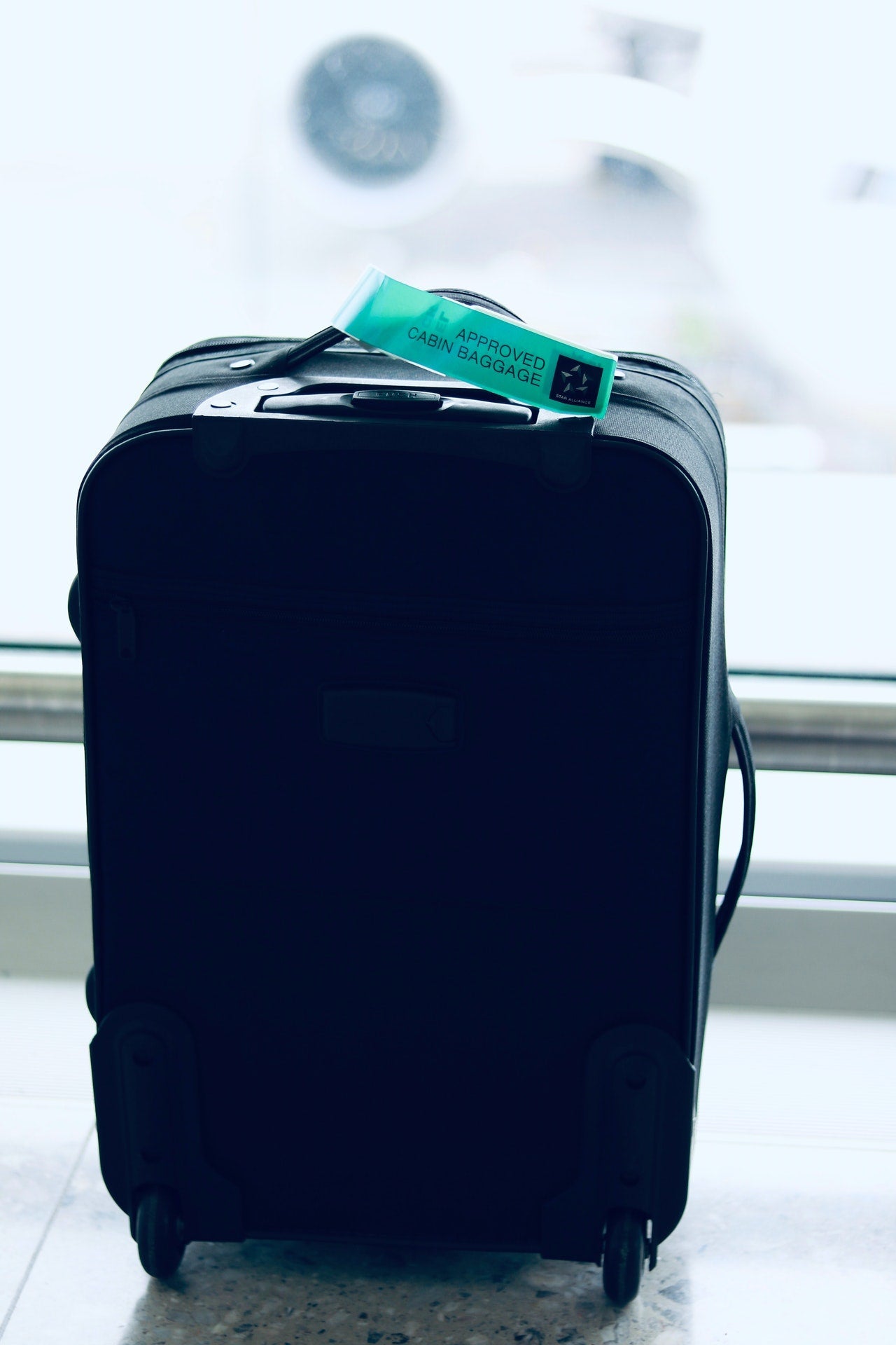 Luggage and Travel Accessories