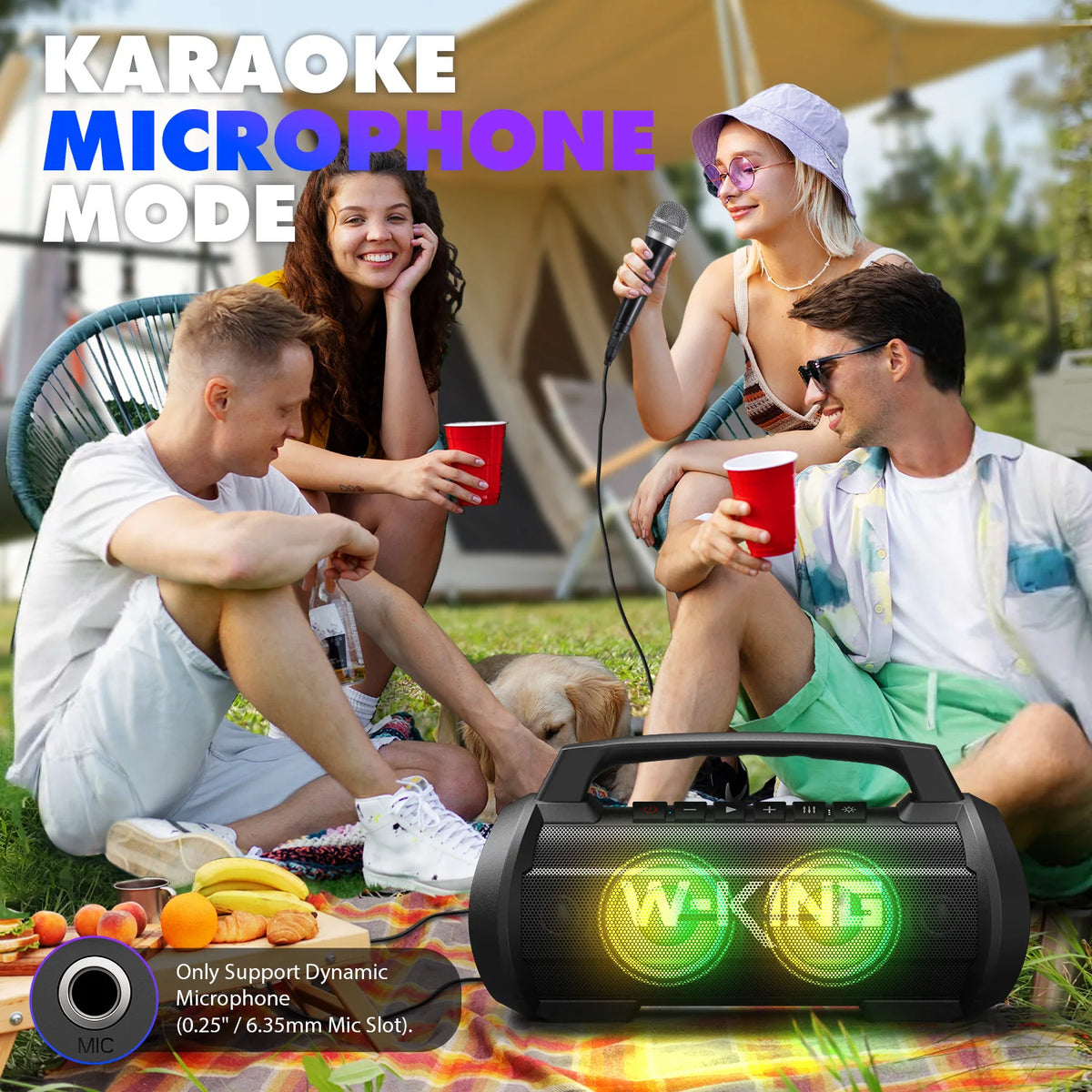 W-King D10MIC 70W Bluetooth Portable Speaker With IPX6 Waterproof Subwoofer